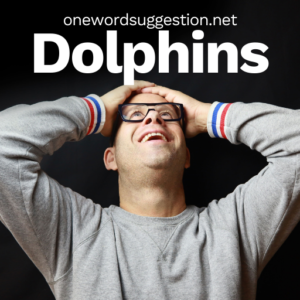 One Word Suggestion Dolphins