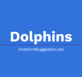 One Word Suggestion Podcast: Dolphins
